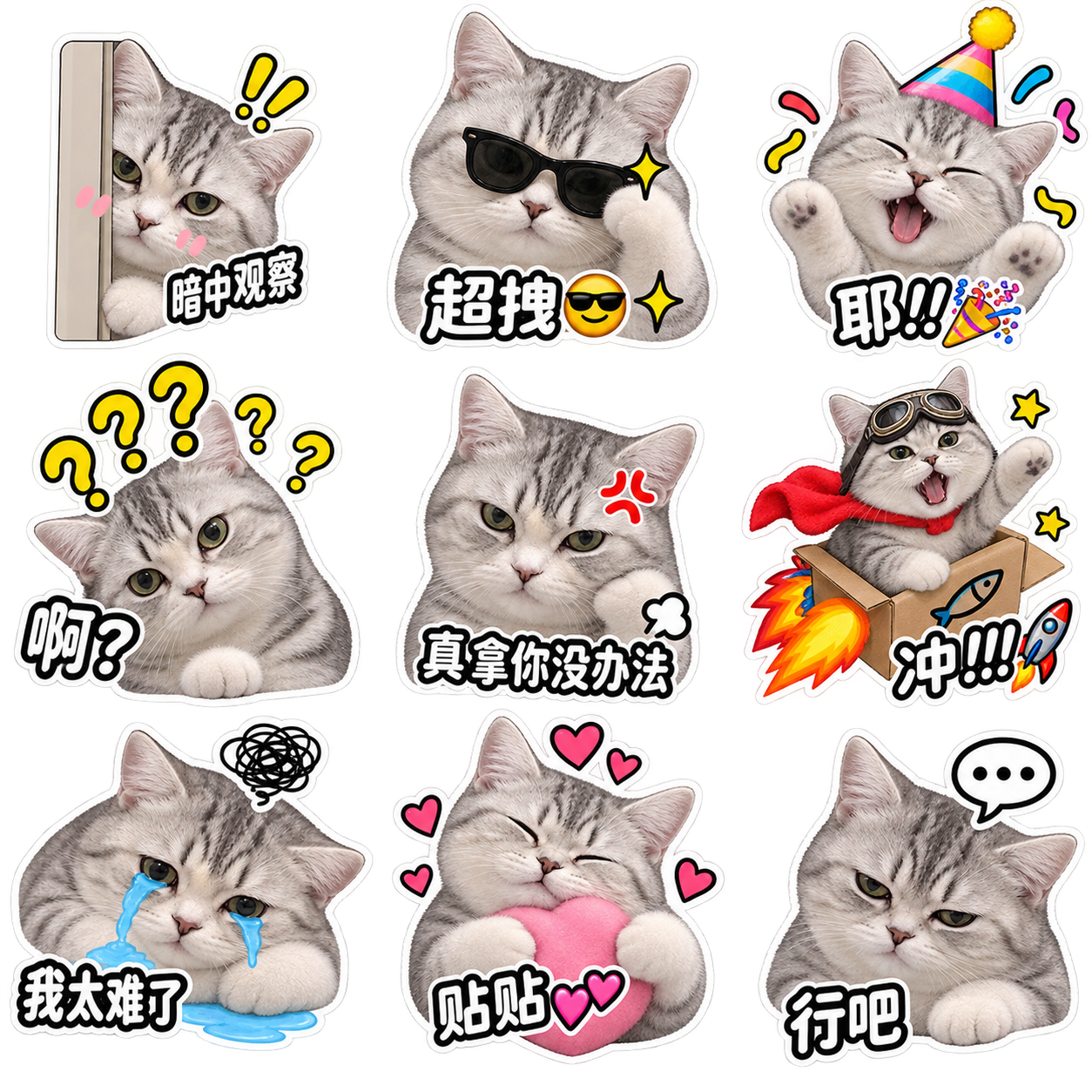 定制表情包 Skill 的宠物表情生成示例